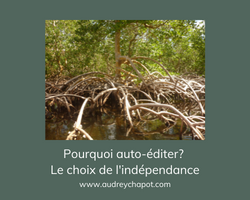 Lire la suite à propos de l’article Pourquoi auto-éditer? Le choix de l’indépendance