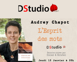 Lire la suite à propos de l’article Interview « L’Esprit des mots » pour DStudio