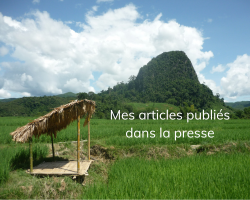 mes articles publiés